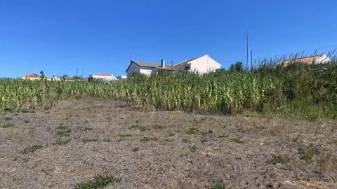 Terreno para Venda em Peniche