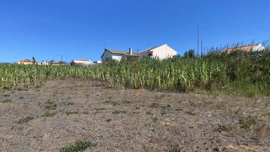 Terreno para Venda em Peniche Foto 5