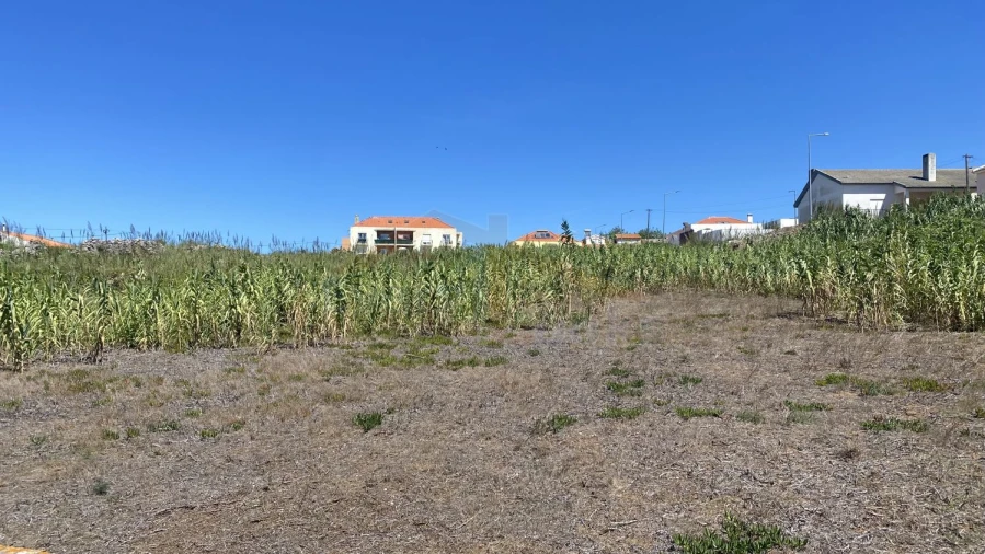 Terreno para Venda em Peniche Foto 10