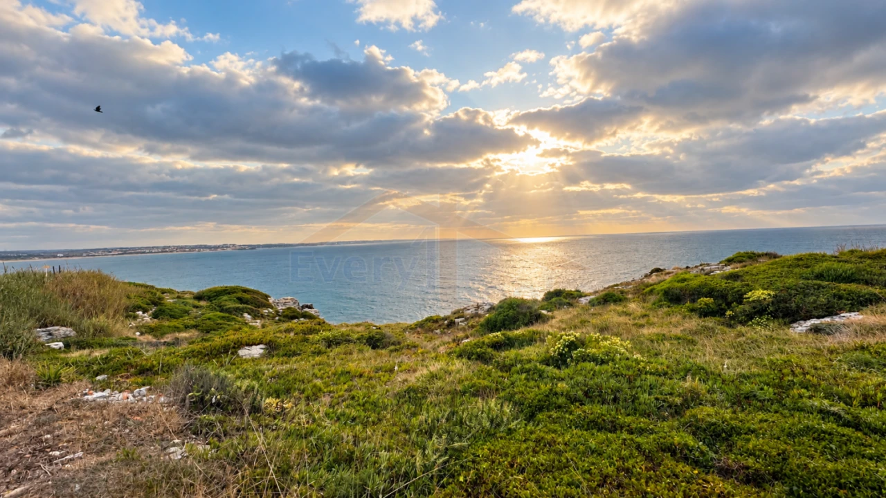 Terreno para Venda em Peniche Foto 1