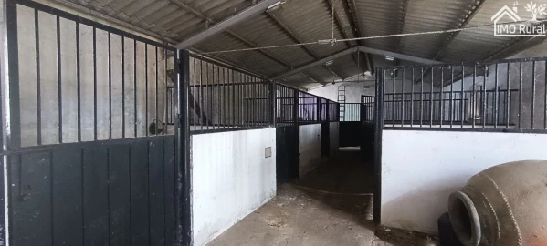 Quinta T5 para Venda em São Vicente e Ventosa