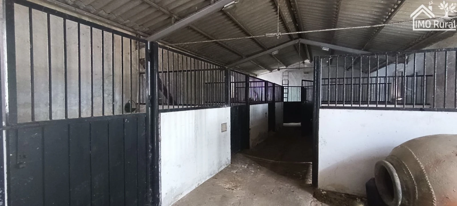Quinta T10 para Venda em São Vicente e Ventosa Foto 16
