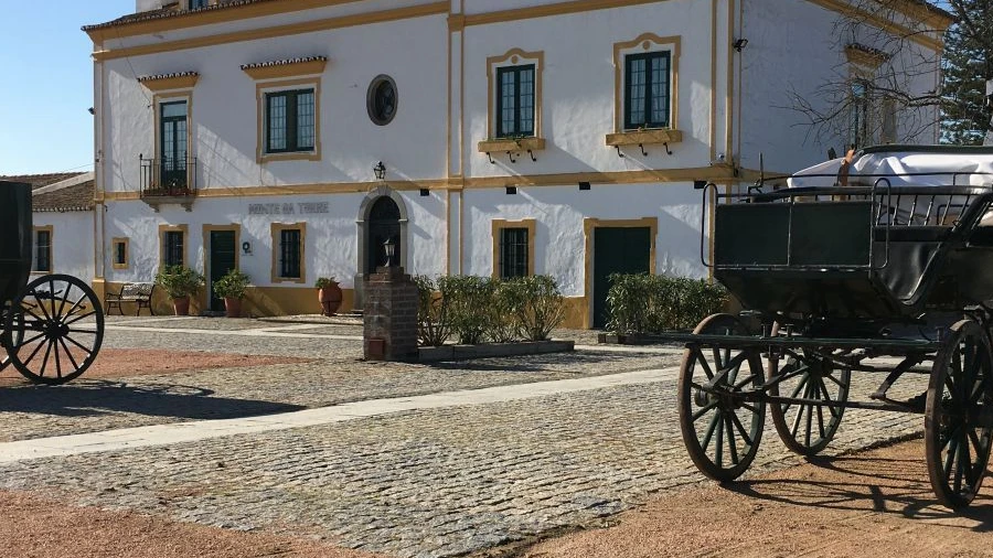 Quinta T5 para Venda em São Vicente e Ventosa