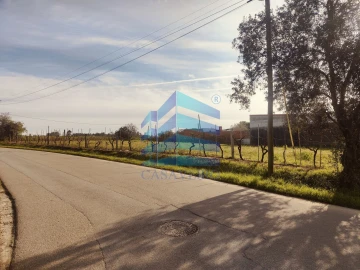 Terreno para Venda em Soza