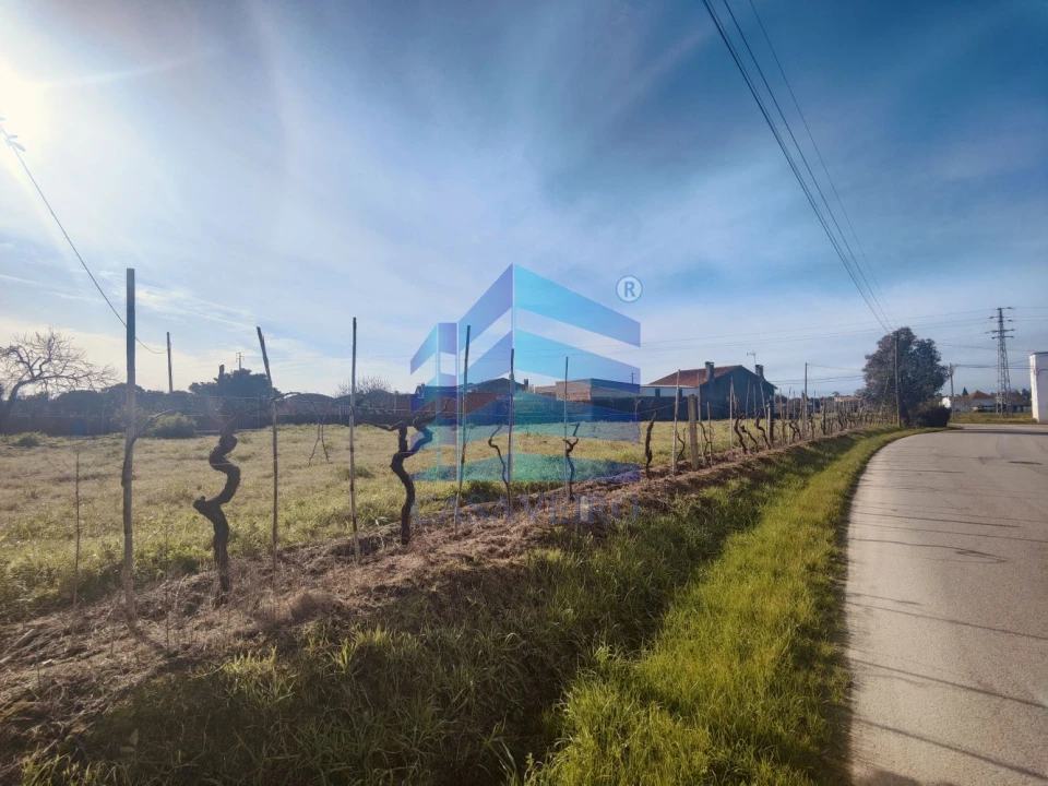 Terreno para Venda em Soza Foto 8