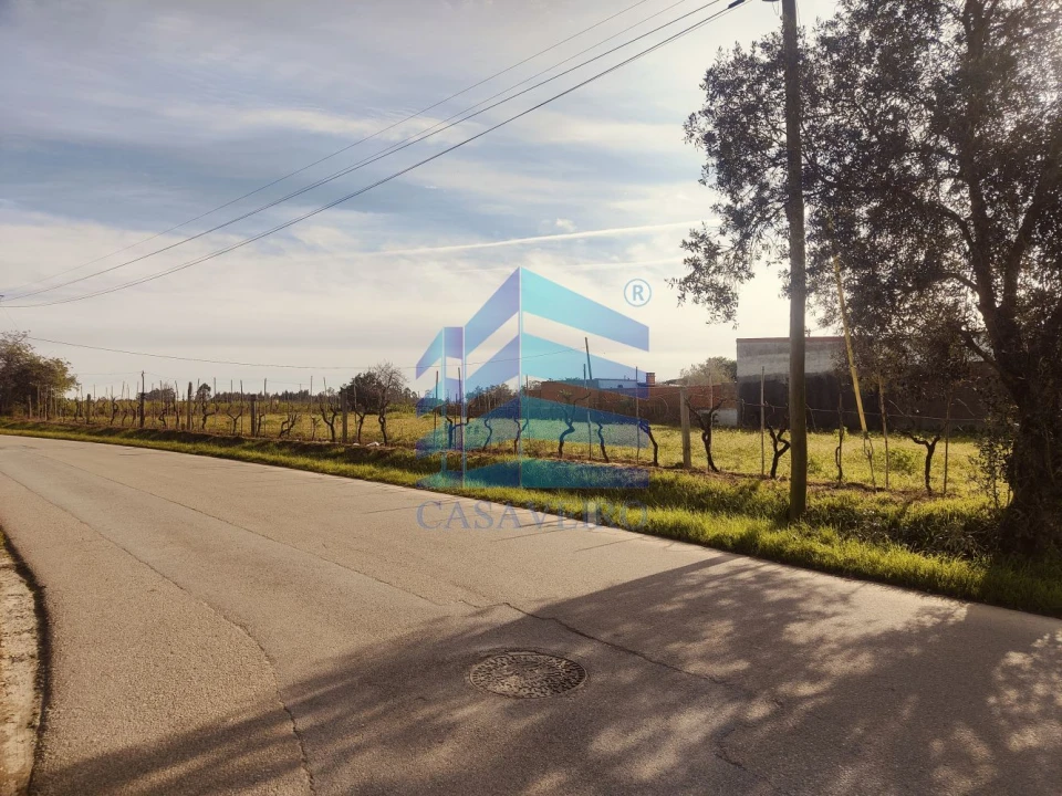 Terreno para Venda em Soza Foto 4
