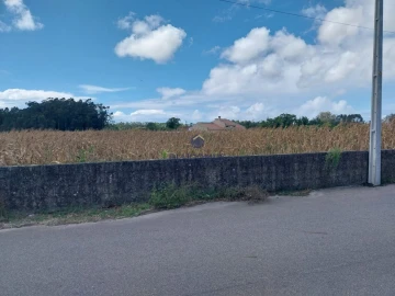 Terreno para Venda em Valega