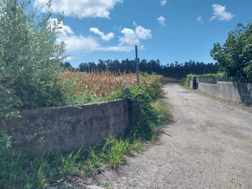 Terreno para Venda em Valega