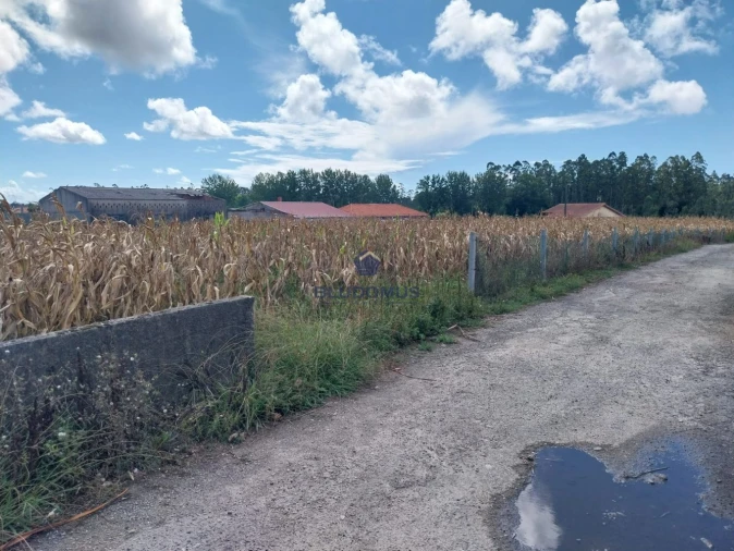Terreno para Venda em Valega Foto 6