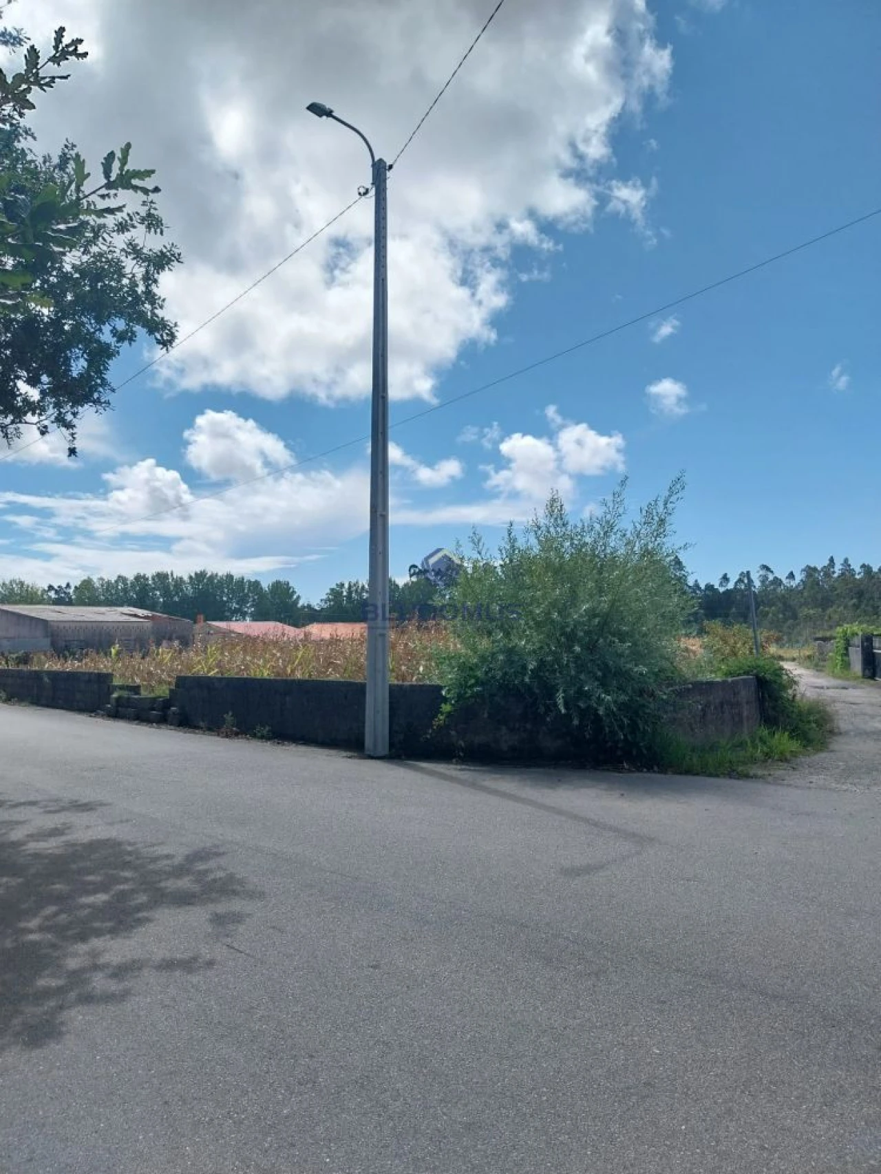 Terreno para Venda em Valega Foto 2