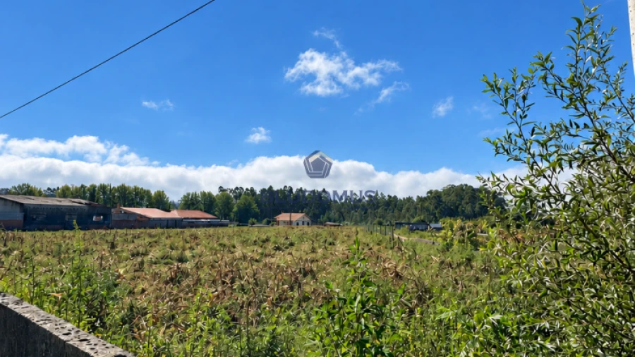Terreno para Venda em Valega