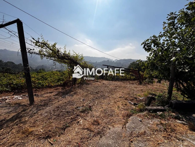 Moradia T2 para Venda em Britelo, Gémeos e Ourilhe Foto 31