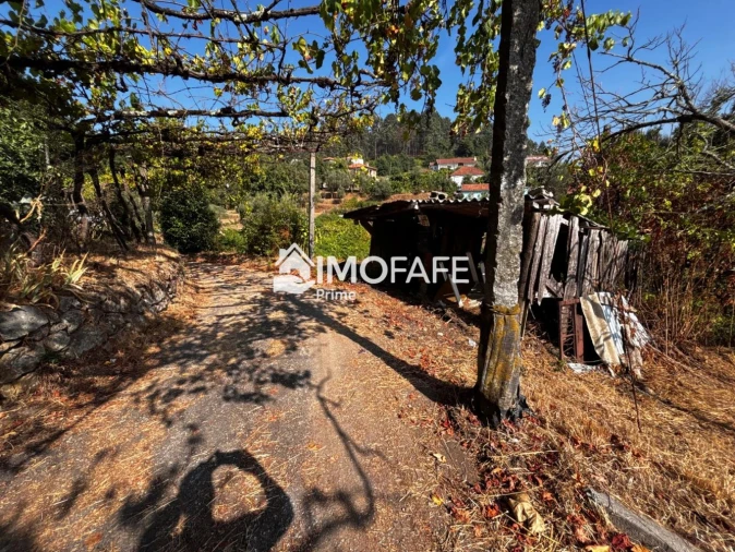 Moradia T2 para Venda em Britelo, Gémeos e Ourilhe Foto 22