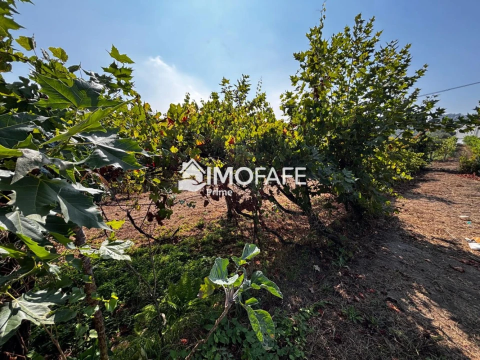 Moradia T2 para Venda em Britelo, Gémeos e Ourilhe Foto 32