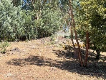 Terreno para Venda em Boa Aldeia, Farminhão e Torredeita