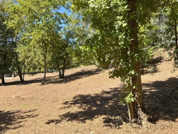 Terreno para Venda em Boa Aldeia, Farminhão e Torredeita