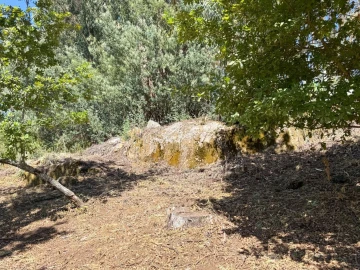 Terreno para Venda em Boa Aldeia, Farminhão e Torredeita