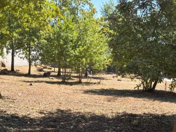 Terreno para Venda em Boa Aldeia, Farminhão e Torredeita
