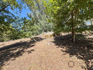 Terreno para Venda em Boa Aldeia, Farminhão e Torredeita