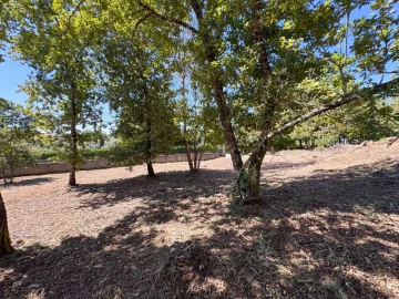 Terreno para Venda em Boa Aldeia, Farminhão e Torredeita
