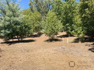 Terreno para Venda em Boa Aldeia, Farminhão e Torredeita