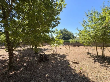 Terreno para Venda em Boa Aldeia, Farminhão e Torredeita