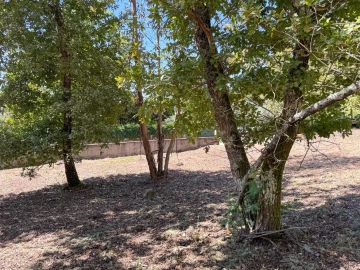 Terreno para Venda em Boa Aldeia, Farminhão e Torredeita