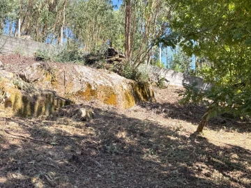 Terreno para Venda em Boa Aldeia, Farminhão e Torredeita