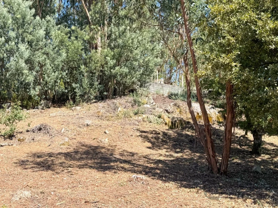 Terreno para Venda em Boa Aldeia, Farminhão e Torredeita Foto 12