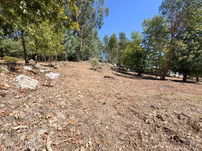 Terreno para Venda em Boa Aldeia, Farminhão e Torredeita Foto 17