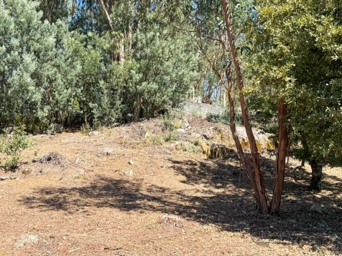 Terreno para Venda em Boa Aldeia, Farminhão e Torredeita Foto 12