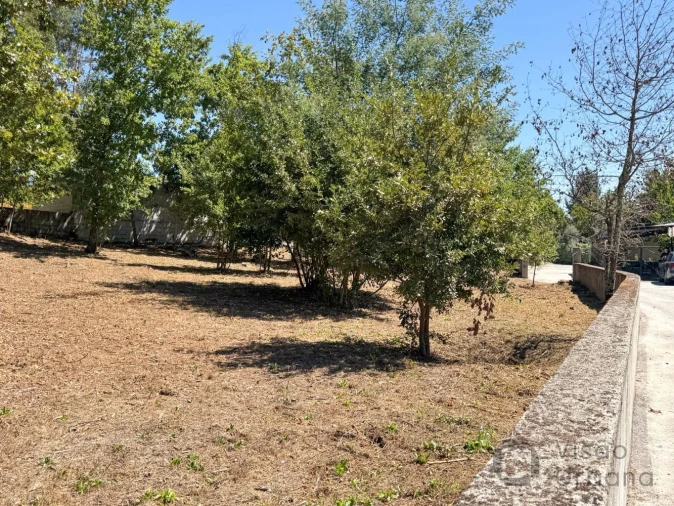 Terreno para Venda em Boa Aldeia, Farminhão e Torredeita Foto 22