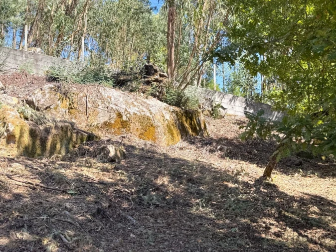 Terreno para Venda em Boa Aldeia, Farminhão e Torredeita Foto 19