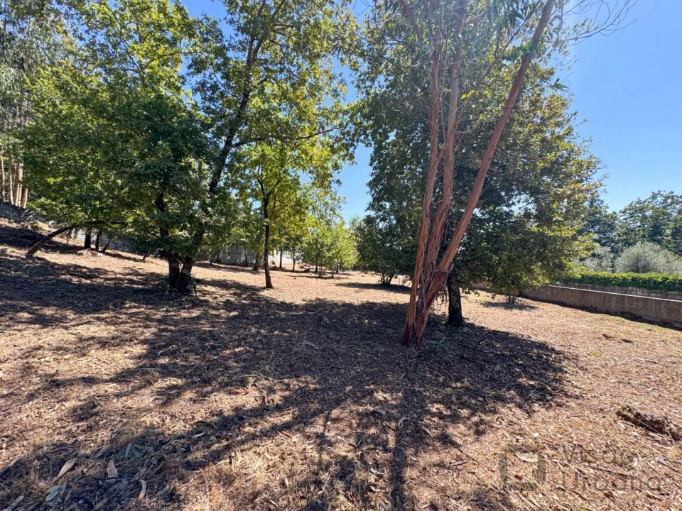 Terreno para Venda em Boa Aldeia, Farminhão e Torredeita Foto 27