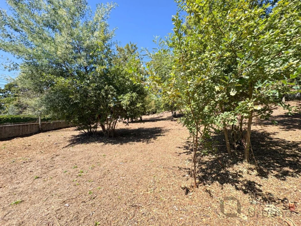 Terreno para Venda em Boa Aldeia, Farminhão e Torredeita Foto 30