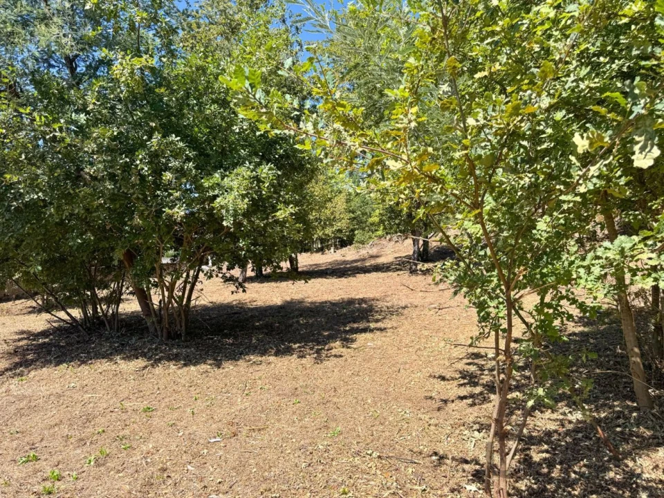 Terreno para Venda em Boa Aldeia, Farminhão e Torredeita Foto 26