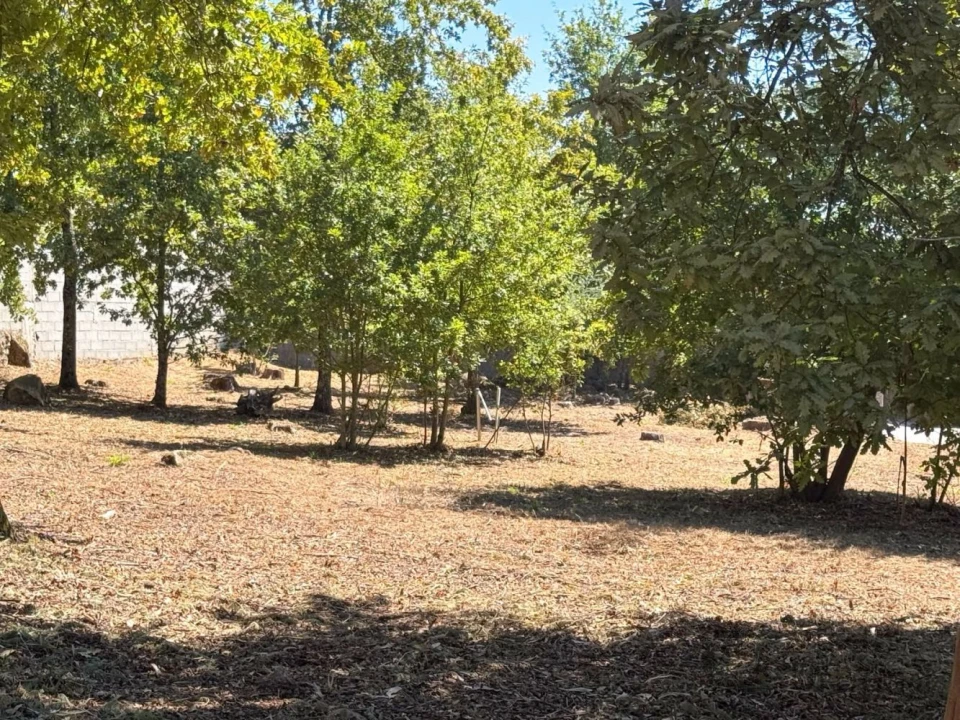 Terreno para Venda em Boa Aldeia, Farminhão e Torredeita Foto 14