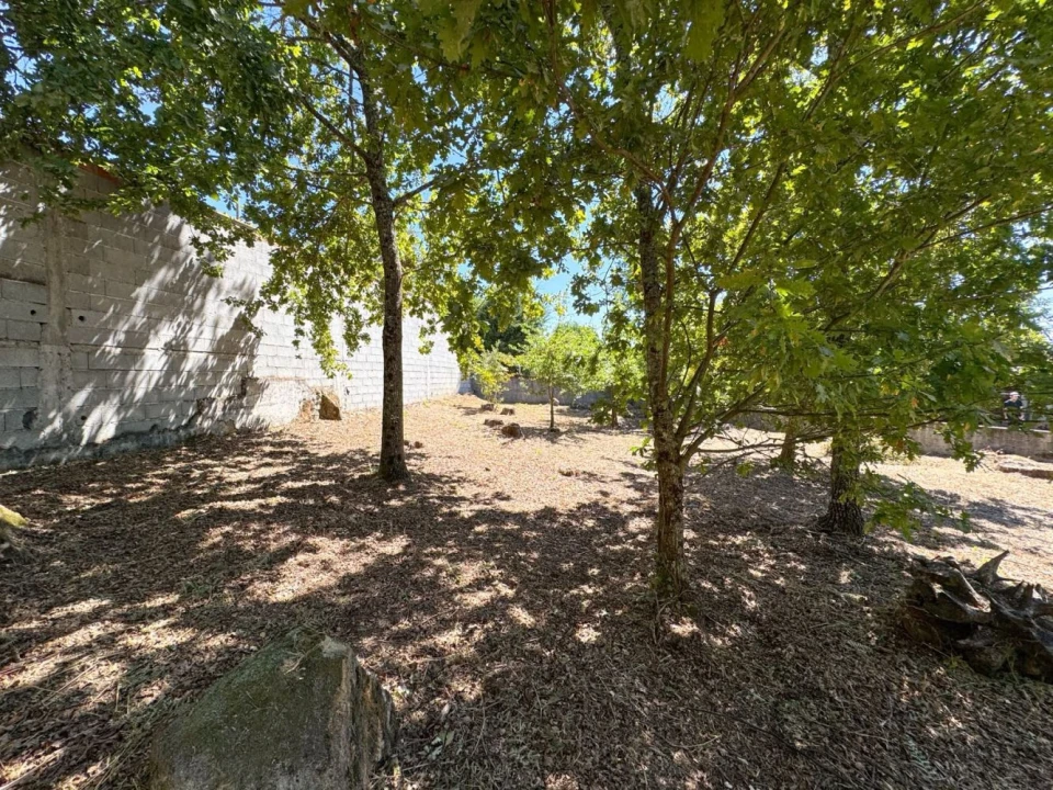 Terreno para Venda em Boa Aldeia, Farminhão e Torredeita Foto 18