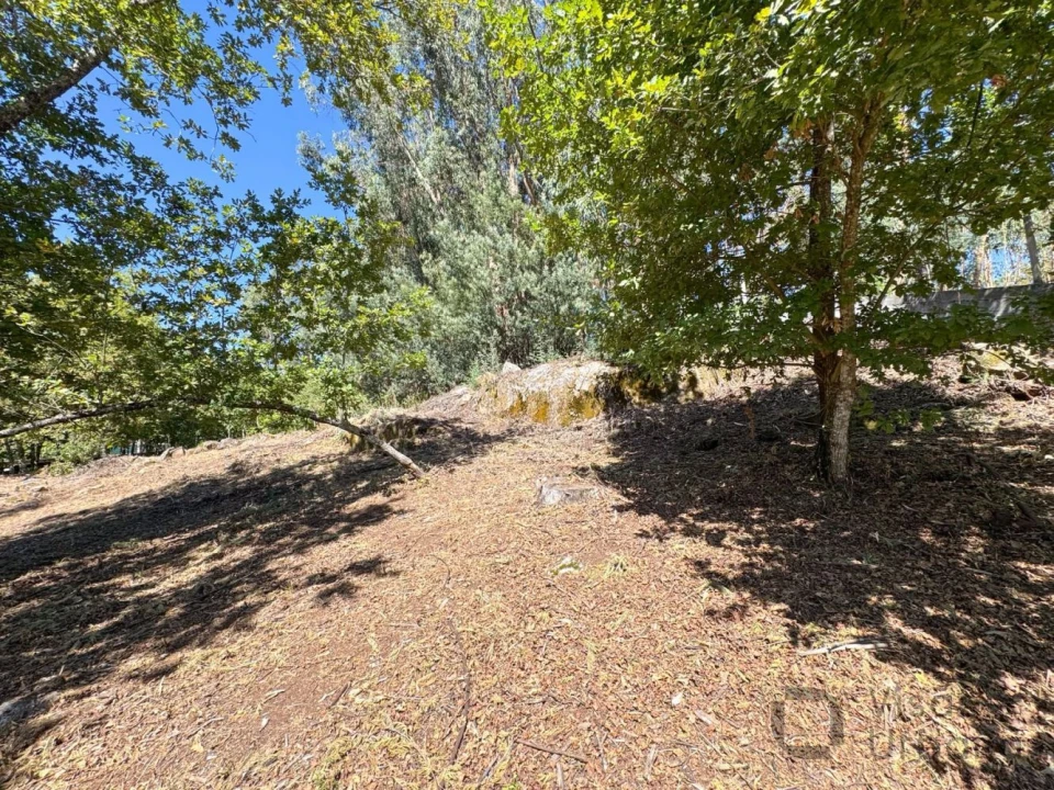 Terreno para Venda em Boa Aldeia, Farminhão e Torredeita Foto 15
