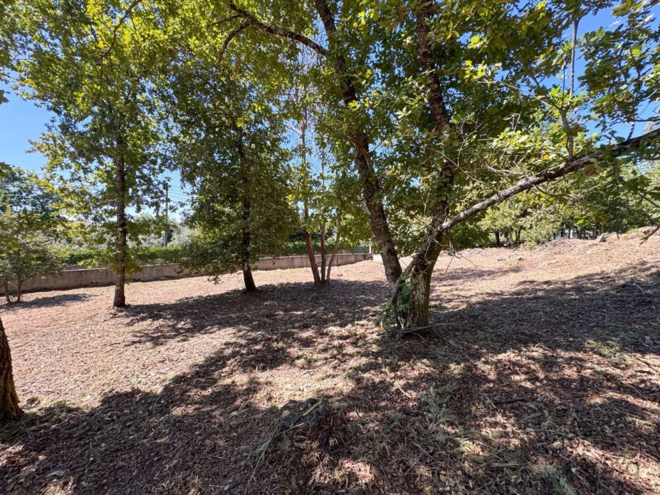 Terreno para Venda em Boa Aldeia, Farminhão e Torredeita Foto 11