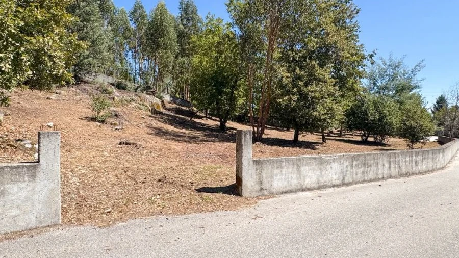 Terreno para Venda em Boa Aldeia, Farminhão e Torredeita