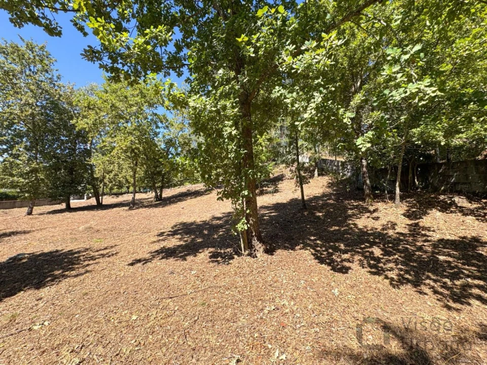 Terreno para Venda em Boa Aldeia, Farminhão e Torredeita Foto 20