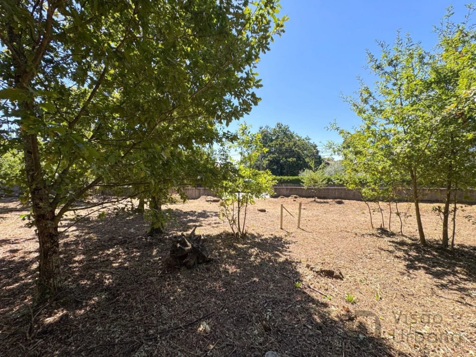 Terreno para Venda em Boa Aldeia, Farminhão e Torredeita Foto 8