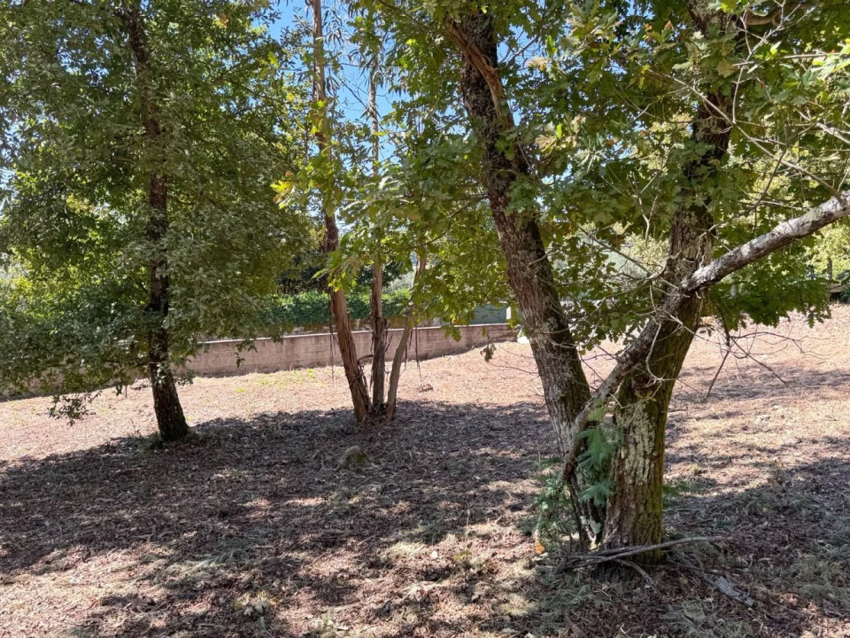 Terreno para Venda em Boa Aldeia, Farminhão e Torredeita Foto 25