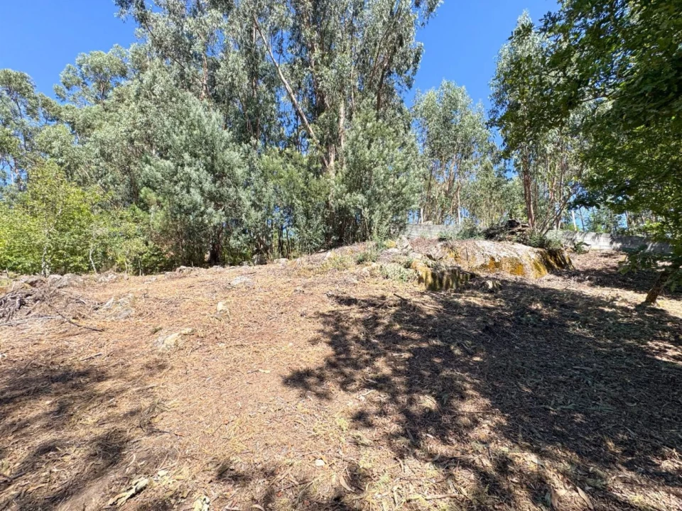 Terreno para Venda em Boa Aldeia, Farminhão e Torredeita Foto 23