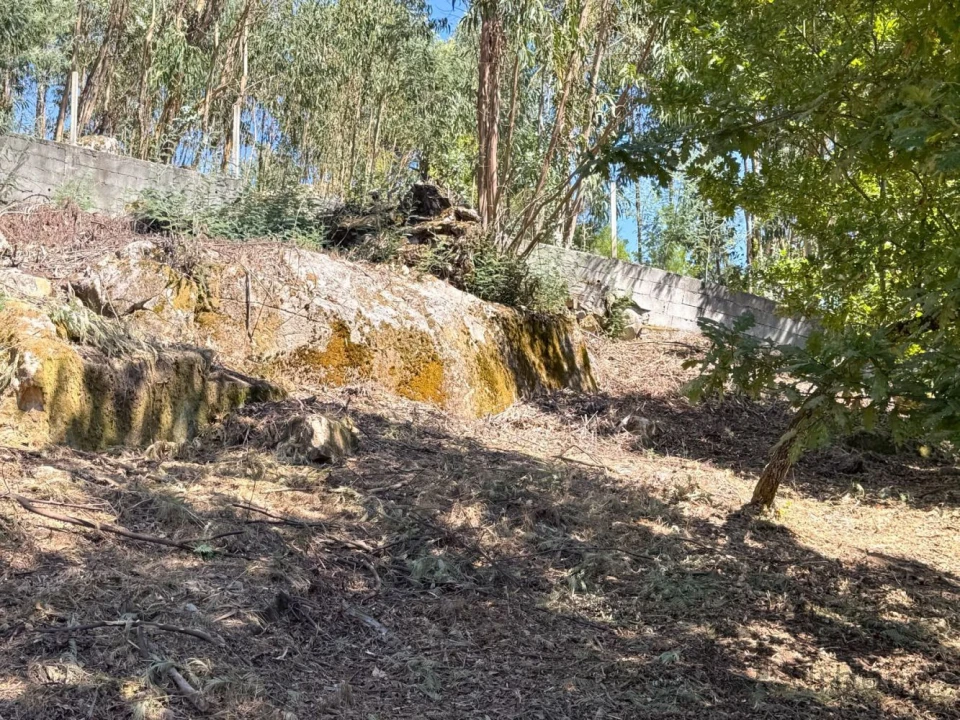 Terreno para Venda em Boa Aldeia, Farminhão e Torredeita Foto 19