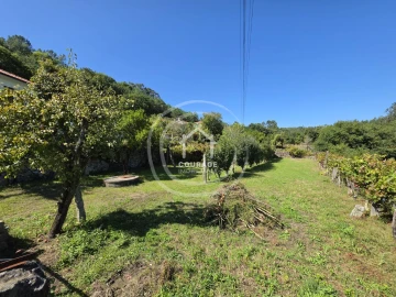 Moradia T3 para Venda em Cossourado e Linhares