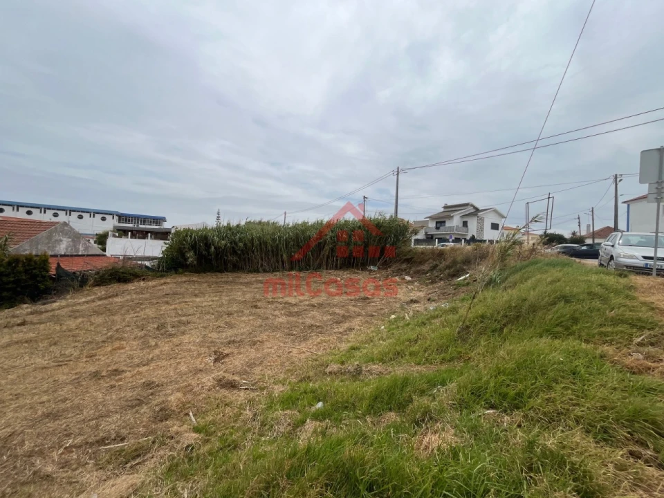 Terreno para Venda em Santo Isidoro Foto 8