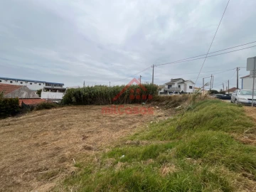 Terreno para Venda em Santo Isidoro