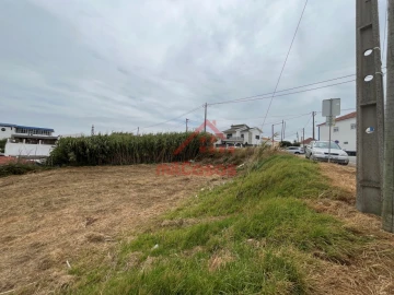 Terreno para Venda em Santo Isidoro